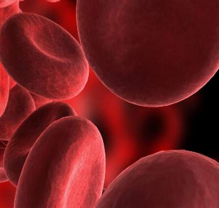 Erythrocytosis or High red blood cell count